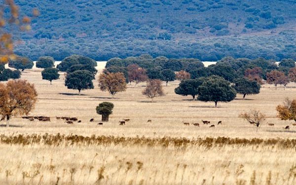 Perderse por Parques Nacionales