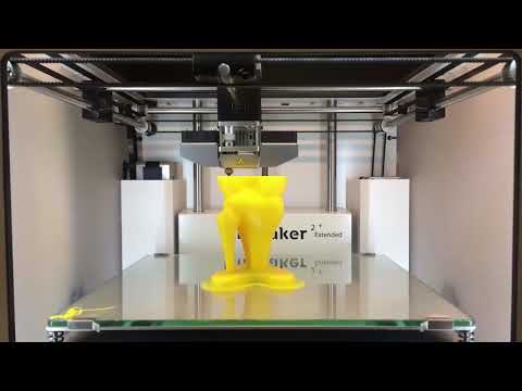 Cómo las impresoras 3D ayudan en el campo de la Traumatología
